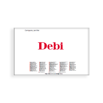 Презентация (eng) бренда DEBI